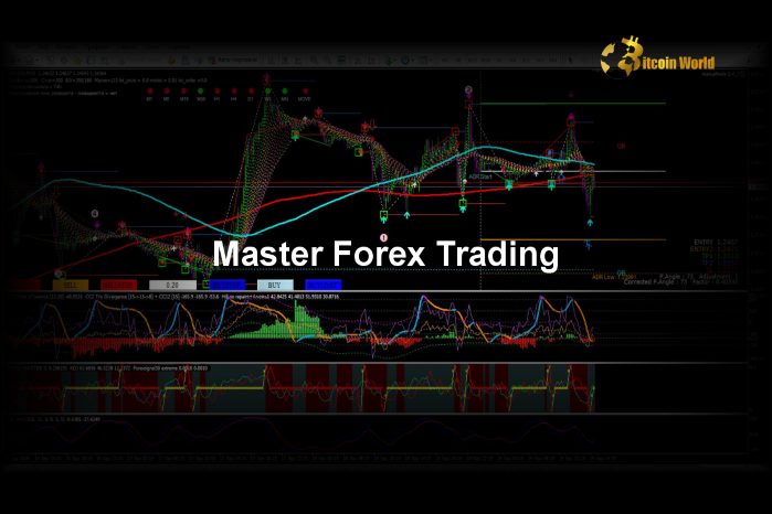 Master Forex Risk Management: Tools and Strategies for Success