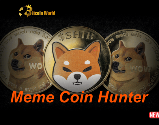 Meme Coin Hunter