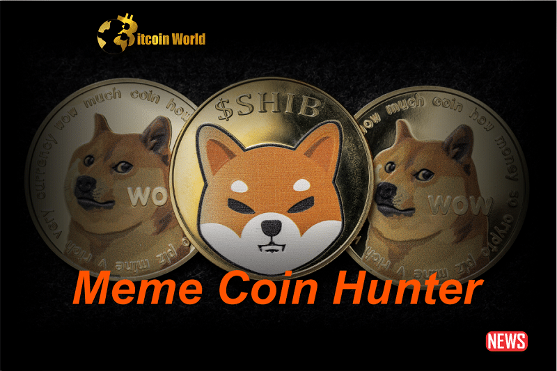 Meme Coin Hunter