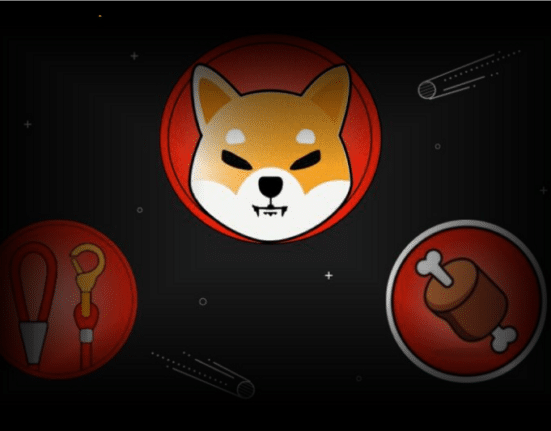 Memecoins SHIB BONE and LEASH