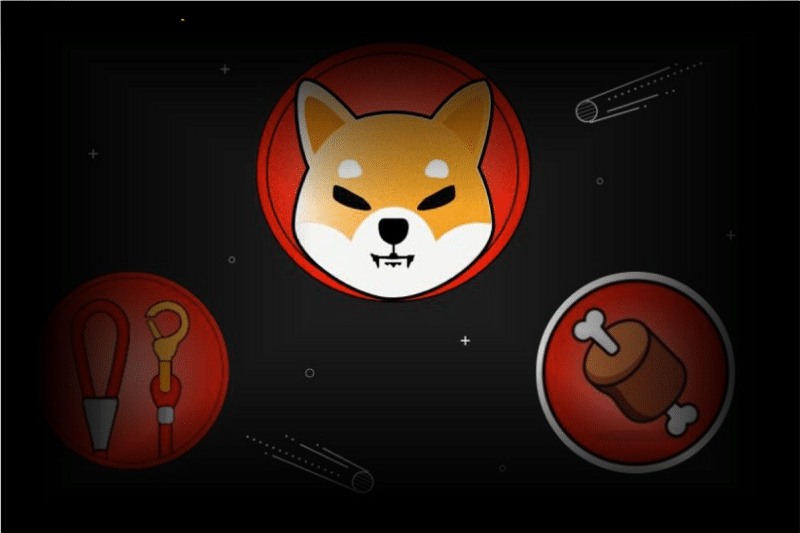 Memecoins SHIB BONE and LEASH
