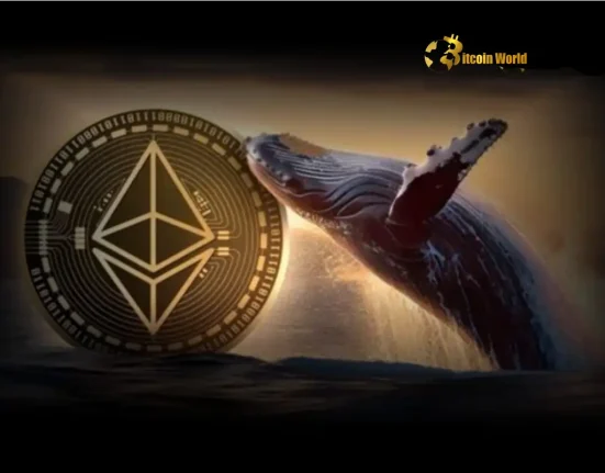 Mysterious Crypto Whale Amasses $23 Million in Ethereum: Decoding the Astounding Purchase