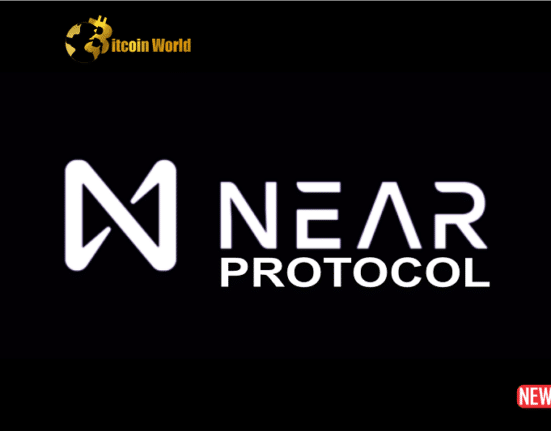 NEAR PROTOCOL
