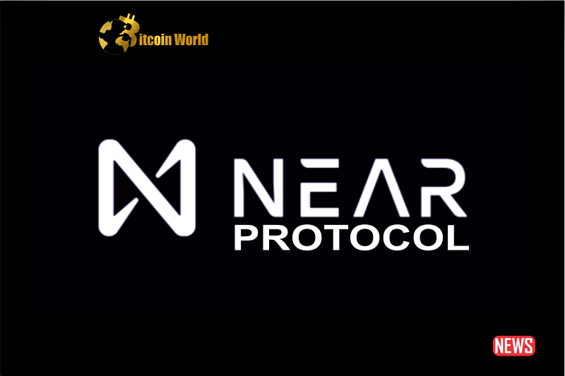 NEAR PROTOCOL