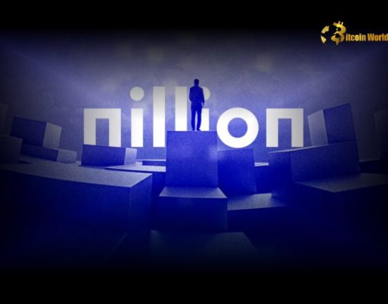 Nillion Mainnet Launch Delayed Crucial Update for Decentralized Blind Computing Platform