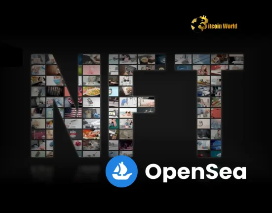 OpenSea Dominates NFT Market Again: Secures 40%+ Share Amidst Slump