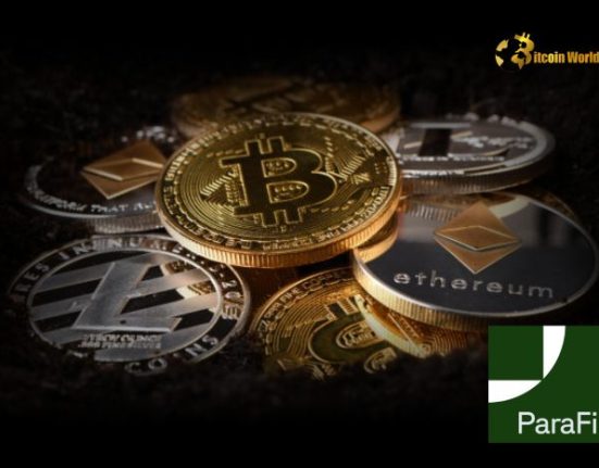 Revealed: ParaFi Capital’s Massive $420M Crypto Holdings Spark Institutional Interest