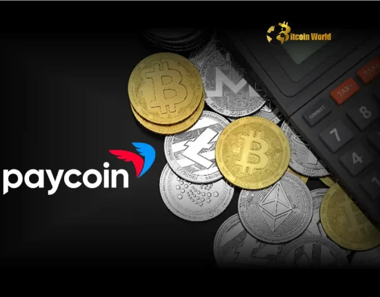 Paycoin Unveils Revolutionary Global Crypto Payment Service Beta