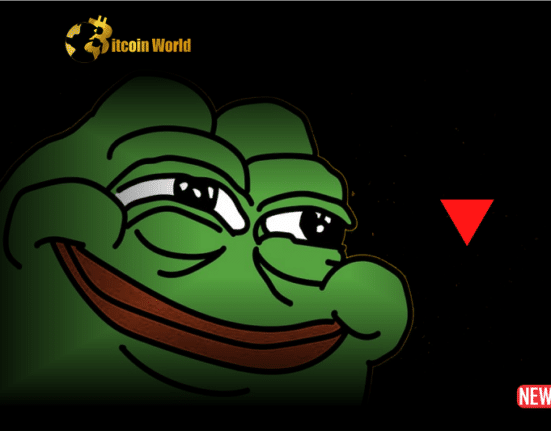 Pepe Coin Shorters