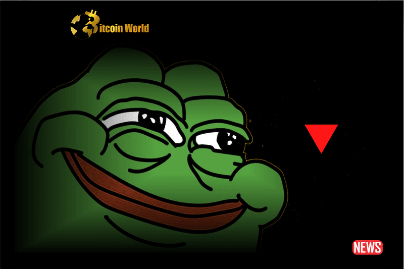 Pepe Coin Shorters