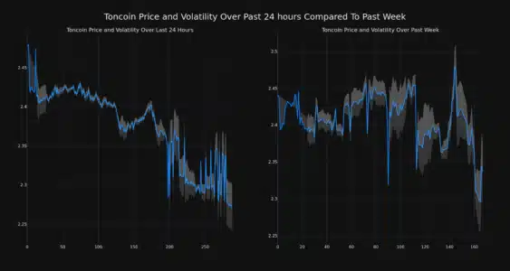 Toncoin (TON) Price Plummets 8%: Decoding the Downtrend and What's Next Price movement and volatility for Toncoin