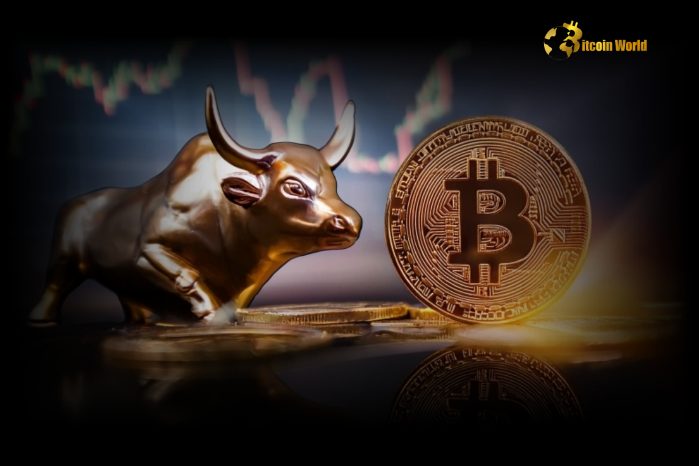 Reassuring Crypto Market Analysis Why This Bitcoin Price Correction is a Bull Market Opportunity