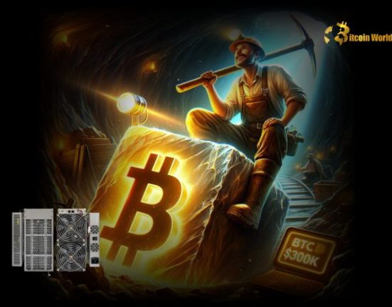Remarkable Feat: Solo Bitcoin Miner Strikes Gold, Earns $300K Reward