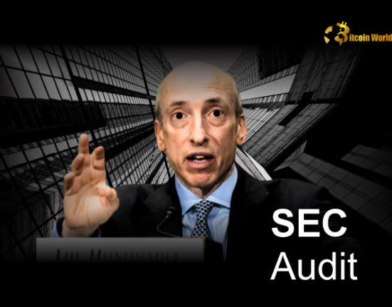 Revealed: DOGE Hints at Shocking SEC Audit – Crypto World in Uproar