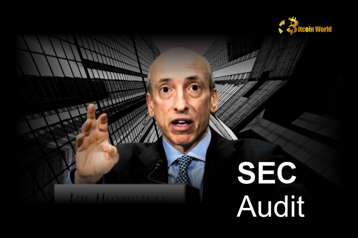 Revealed: DOGE Hints at Shocking SEC Audit – Crypto World in Uproar