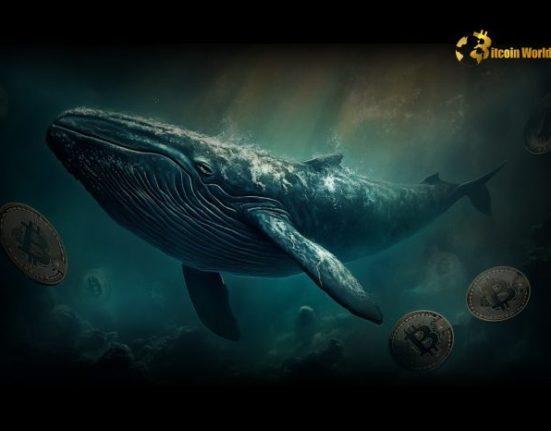 Revealing Bitcoin Whale Movement: Shocking BTC Transfers After Price Rebound Spark Sell-Off Fears