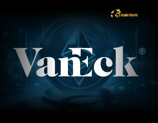 Revealing Crypto Market Truth: Flows Dominate Fundamentals, Says VanEck’s Sigel