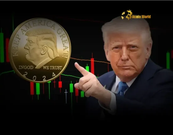 Revealing Top TRUMP Coin Holders Sit on $20.49M After Dinner Event Buzz