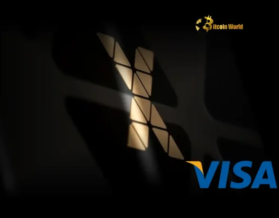 Revolutionary Crypto Card: World Wallet & Visa Partnership Unlocks Global Payments