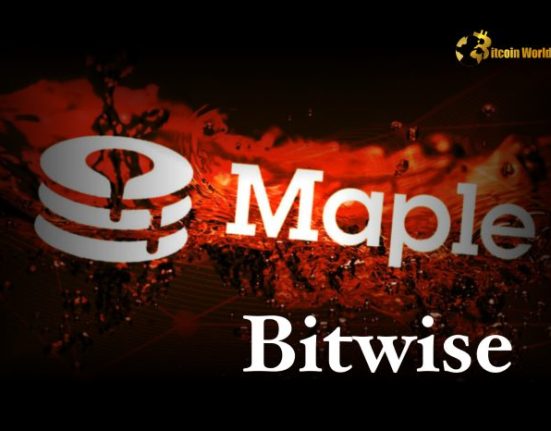 Revolutionary DeFi Lending: Bitwise & Maple Finance Unlock Onchain Access for Institutions