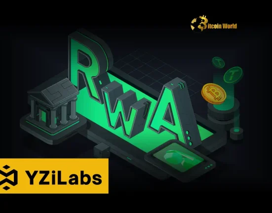 Revolutionary Investment: YZi Labs Fuels Plume's Ascent in Tokenized Real World Assets