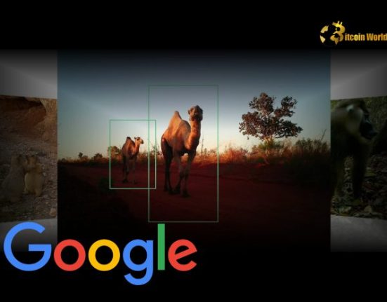 Revolutionary SpeciesNet Google Unveils AI Model to Transform Wildlife Identification