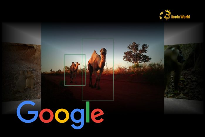 Revolutionary SpeciesNet Google Unveils AI Model to Transform Wildlife Identification