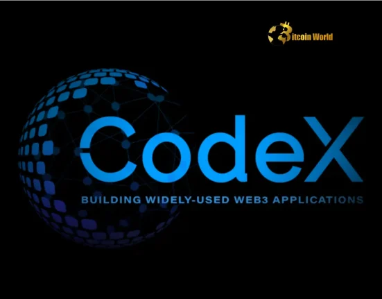 Revolutionary Stablecoin Blockchain: Codex Secures $15.8M to Transform DeFi Infrastructure
