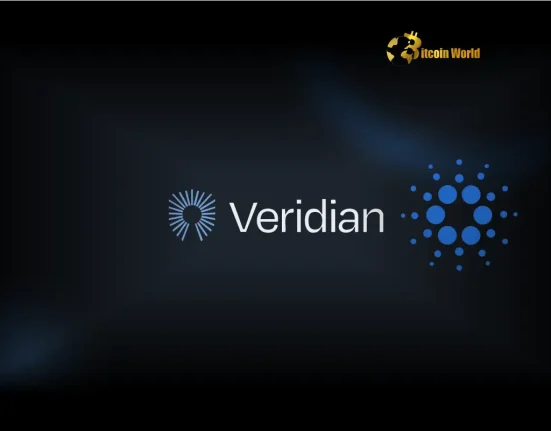 Revolutionary Veridian Cardano Unveils Secure Blockchain Digital Identity Platform