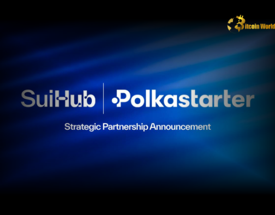 Revolutionary Web3 Partnership Polkastarter and SuiHub Unlock New Possibilities