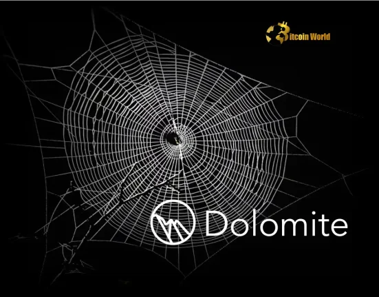 Revolutionize Bitcoin DeFi: Dolomite's Exciting Expansion with Spiderchain Layer-2 Solution