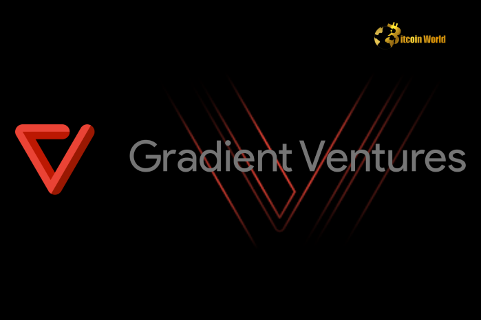Revolutionizing AI Startups: Eylul Kayin and Gradient Ventures' Bold Vision