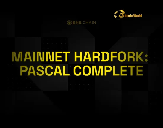 Revolutionizing Crypto: BNB Chain Pascal Upgrade Ignites Faster Block Times