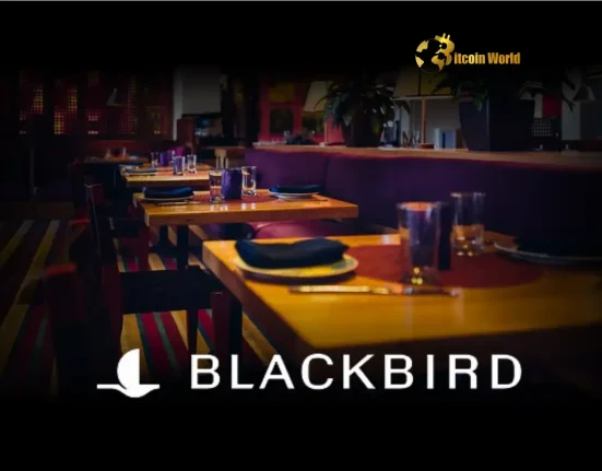 Revolutionizing Dining: Blackbird Secures $50M to Expand Crypto Restaurant Rewards App