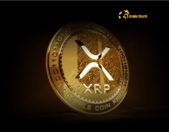 Ripple Labs Unleashes Major US Expansion Amid Shifting US Crypto Policy, IPO Not Yet