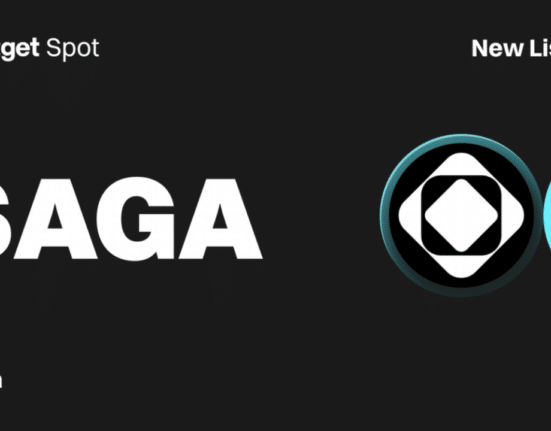 SAGA 171258280687YtDFAEou 2