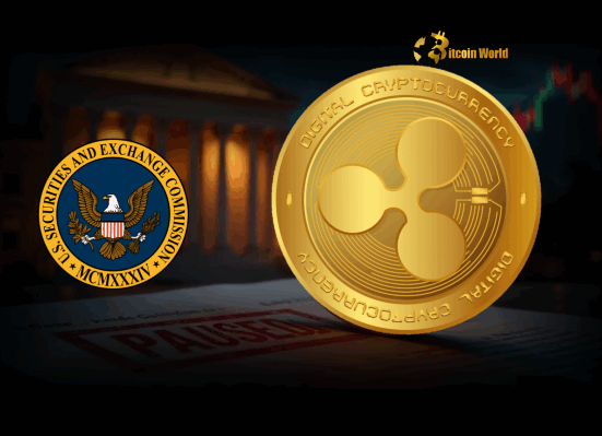 SEC Ripple Lawsuit Dramatic Pause in Appeal Sparks Speculation