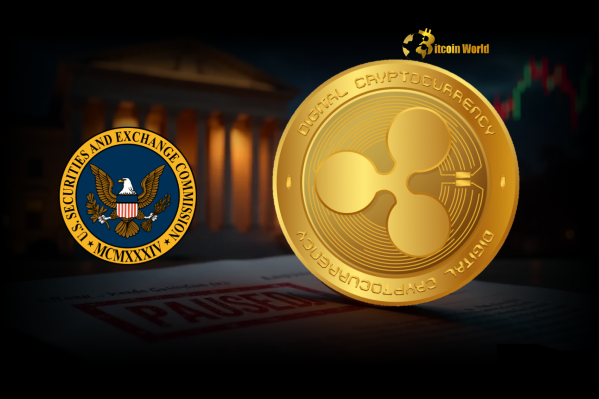 SEC Ripple Lawsuit Dramatic Pause in Appeal Sparks Speculation