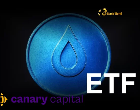 SEI Staking ETF: Canary Capital's Crucial Delaware Registration