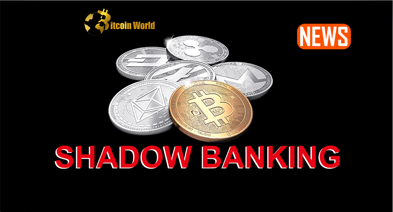 SHADOW BANKING