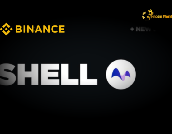 SHELL Token Boom: Crypto Whale Dumps Holdings on Binance for $1M Profit!