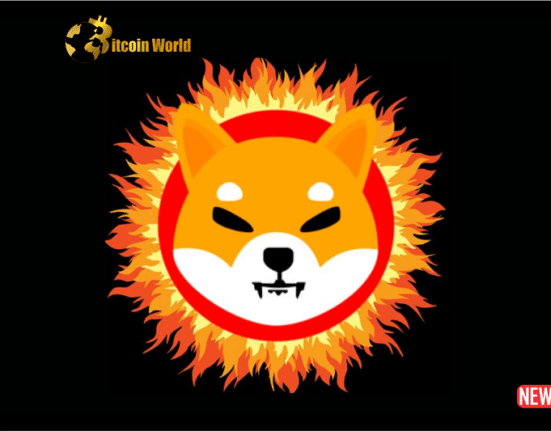SHIB Burn Rate 1