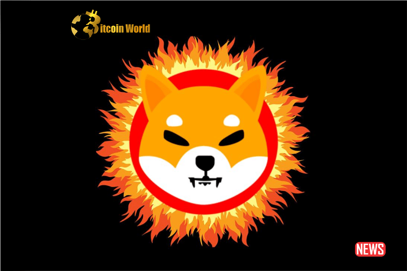 SHIB Burn Rate 1
