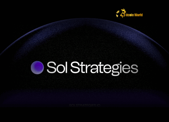 SOL Strategies Nasdaq Listing Bold Ambition for Solana Investment