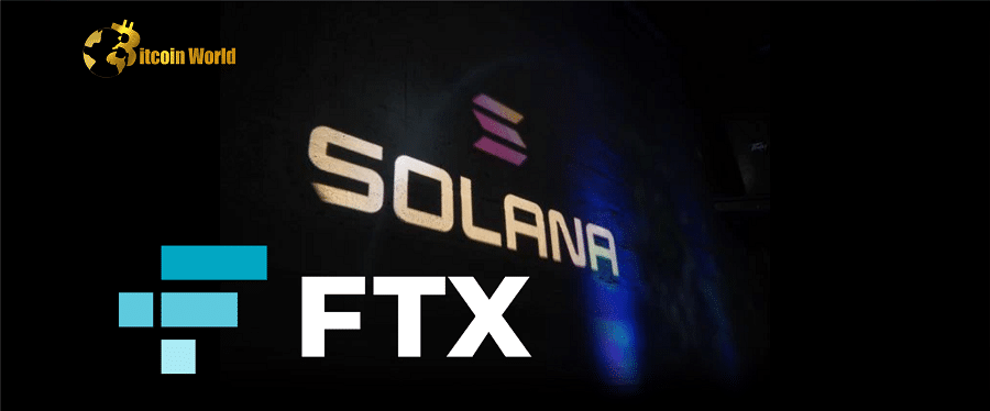 Crypto Executive Reveals State of Solana Post-FTX Collapse, Comments on Dogecoin Rival BONK