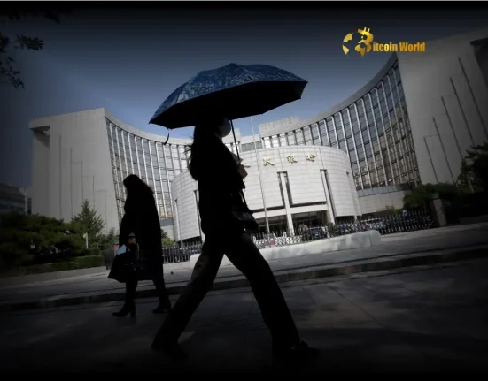 STEADY as She Goes China Central Bank Holds Loan Prime Rate, Ensuring Market Stability