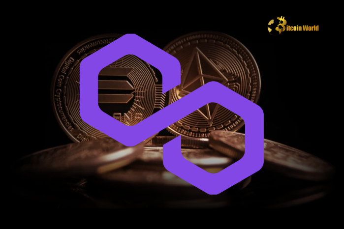Seeking Clarity Polygon Co-founder Questions the Definition of a US Crypto Company (1)