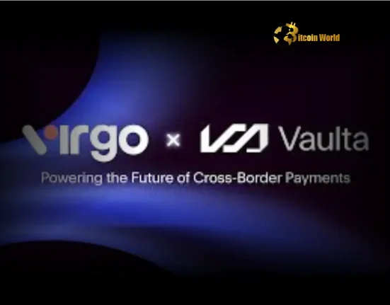 Select Revolutionary VirgoPay Unlocking Seamless Global Remittance with Stablecoins