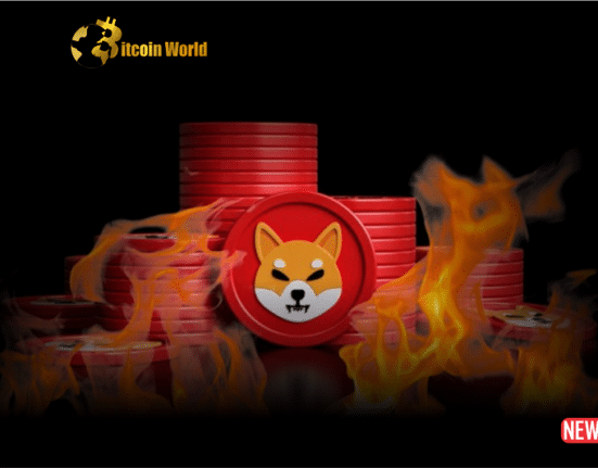 Shiba Inu Burn Rate Surges