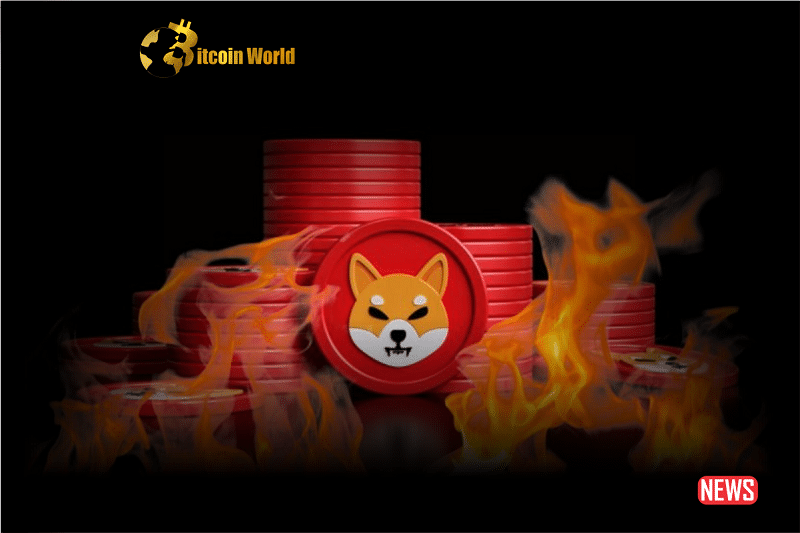 Shiba Inu Burn Rate Surges